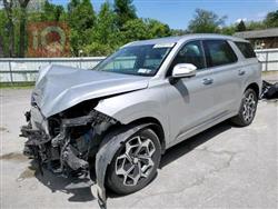 هیوندای پالیسەید